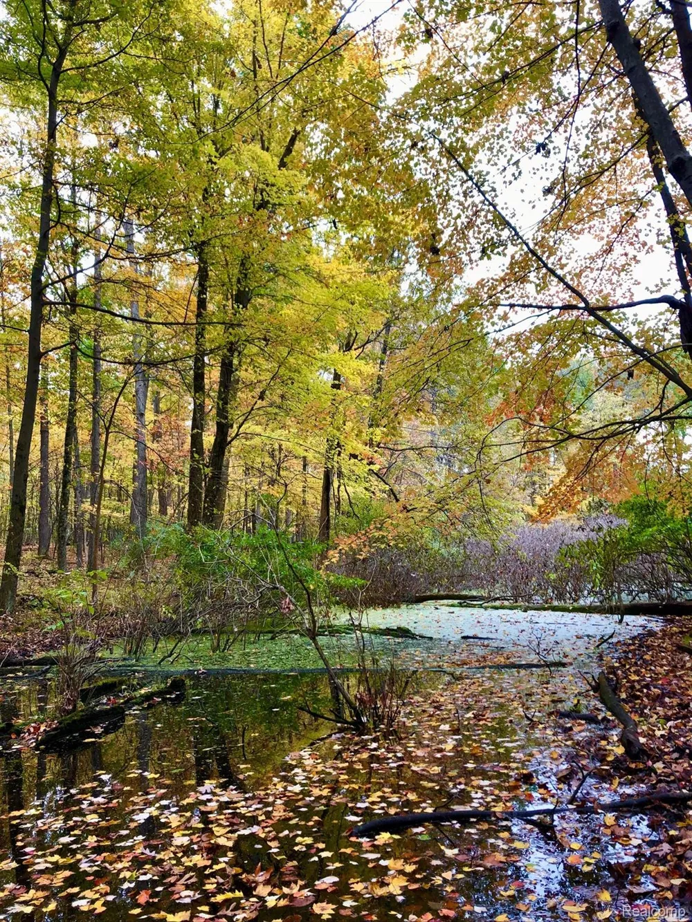 5555 Mast Road Webster Township, MI 48130