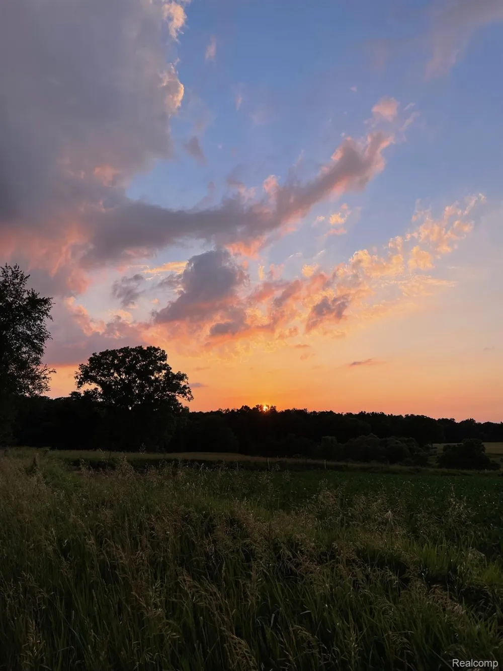5555 Mast Road Webster Township, MI 48130