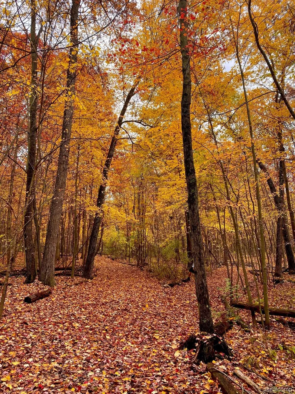 5555 Mast Road Webster Township, MI 48130