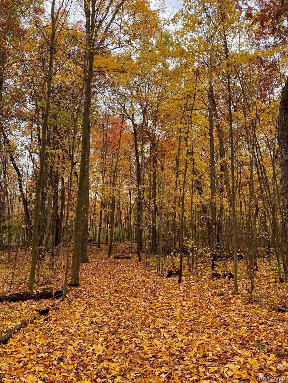 5555 Mast Road Webster Township, MI 48130