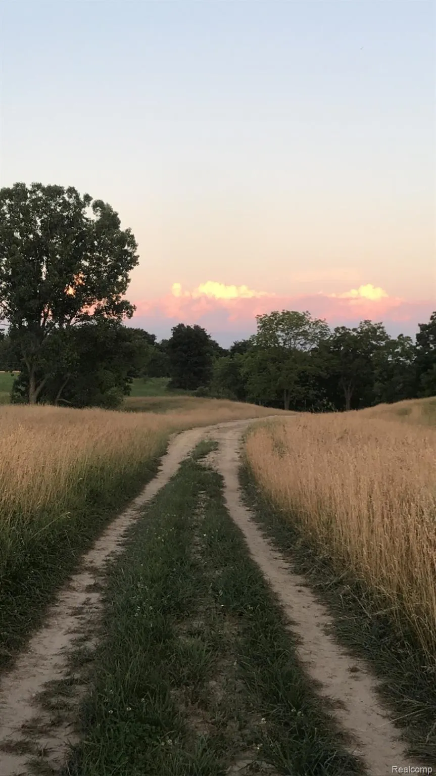 5555 Mast Road Webster Township, MI 48130
