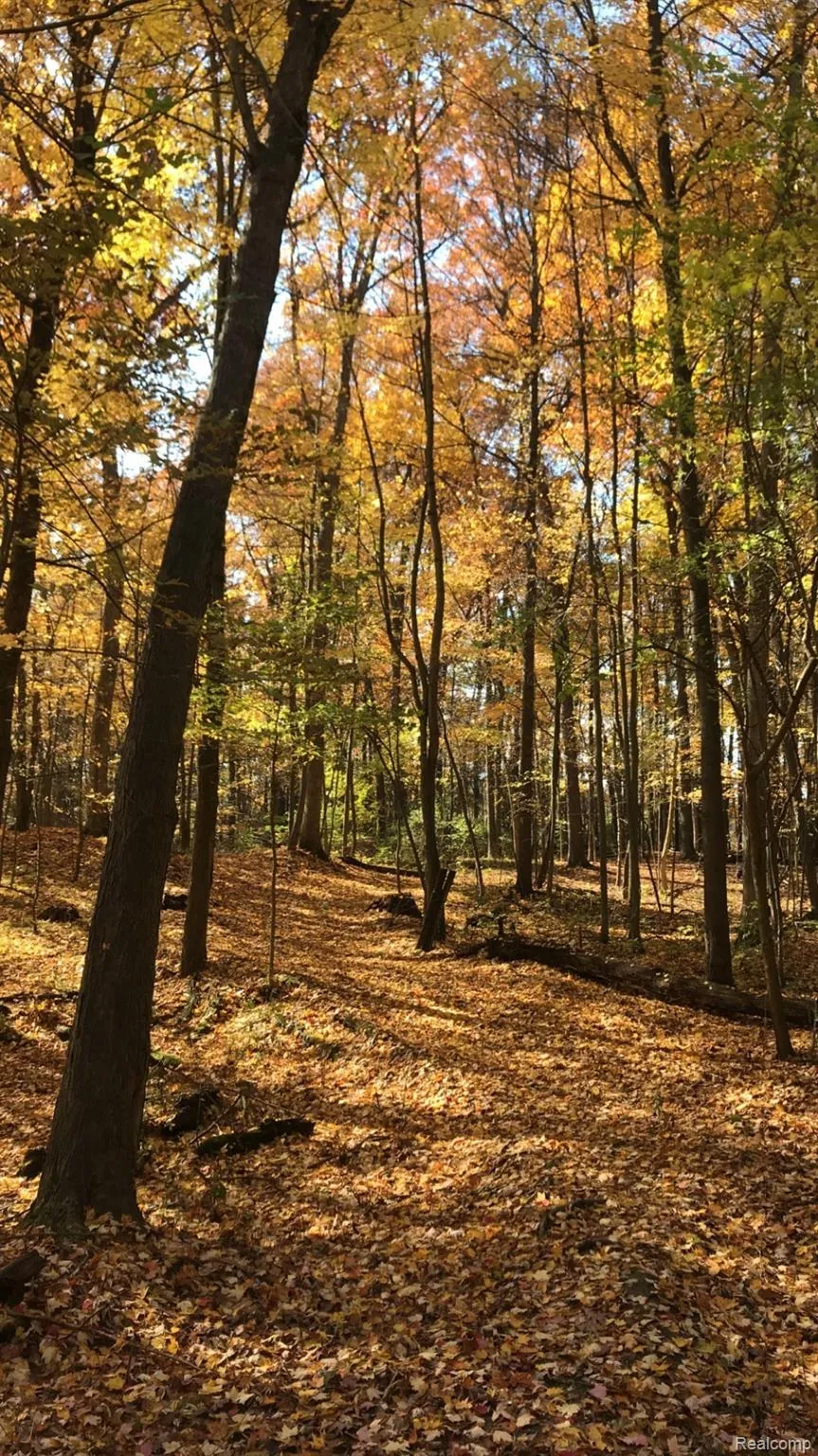 5555 Mast Road Webster Township, MI 48130