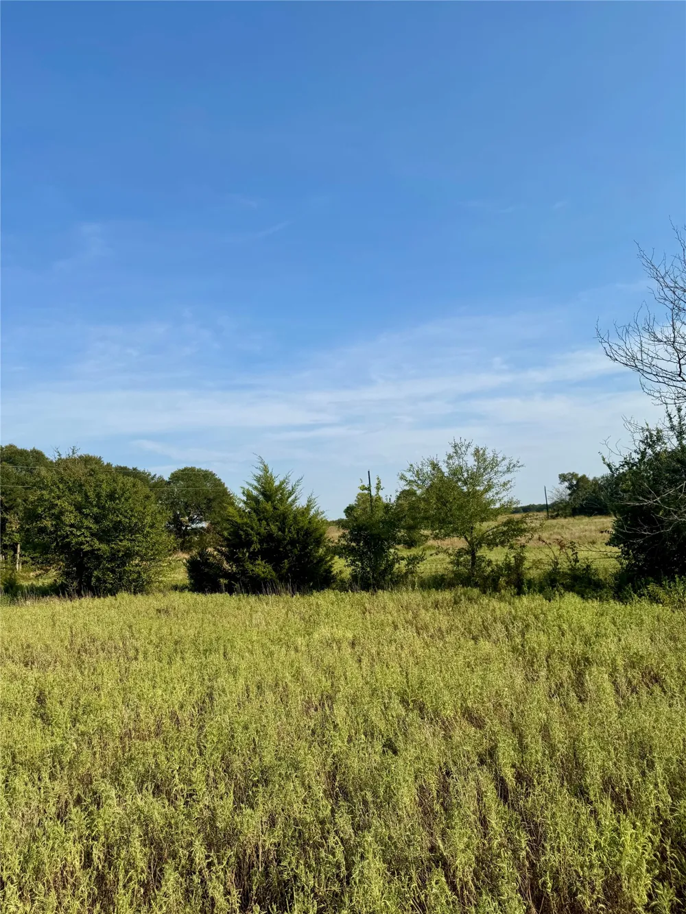 CR 2185 Klondike, TX 75448