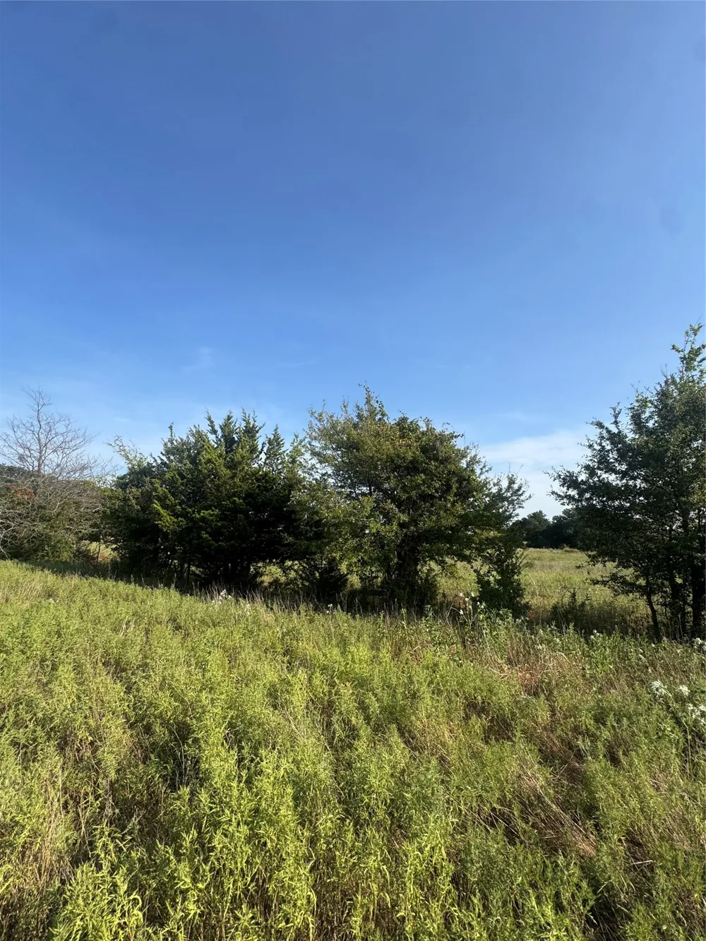 CR 2185 Klondike, TX 75448