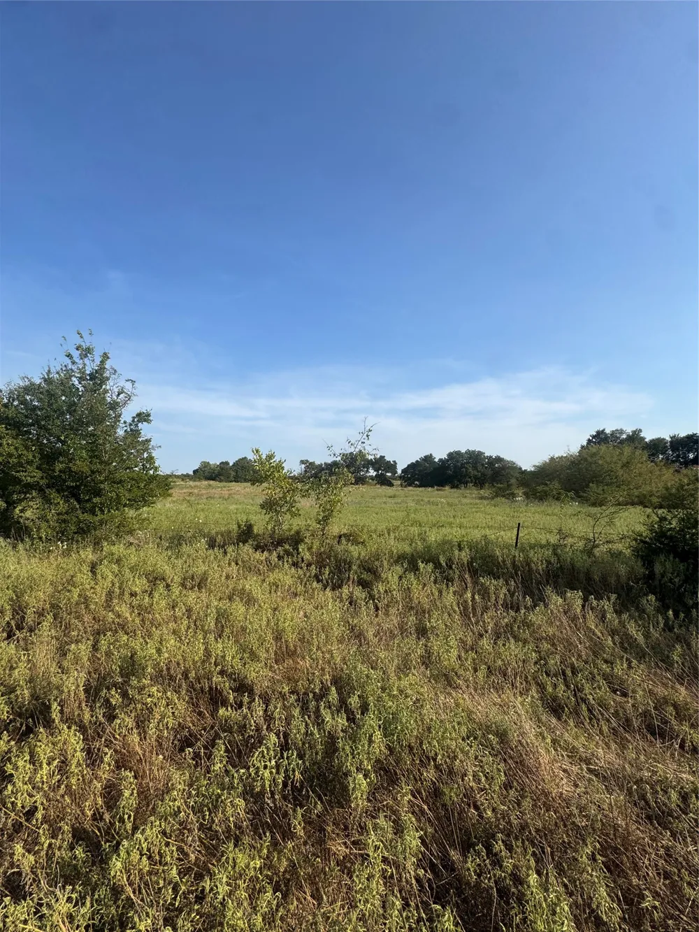 CR 2185 Klondike, TX 75448