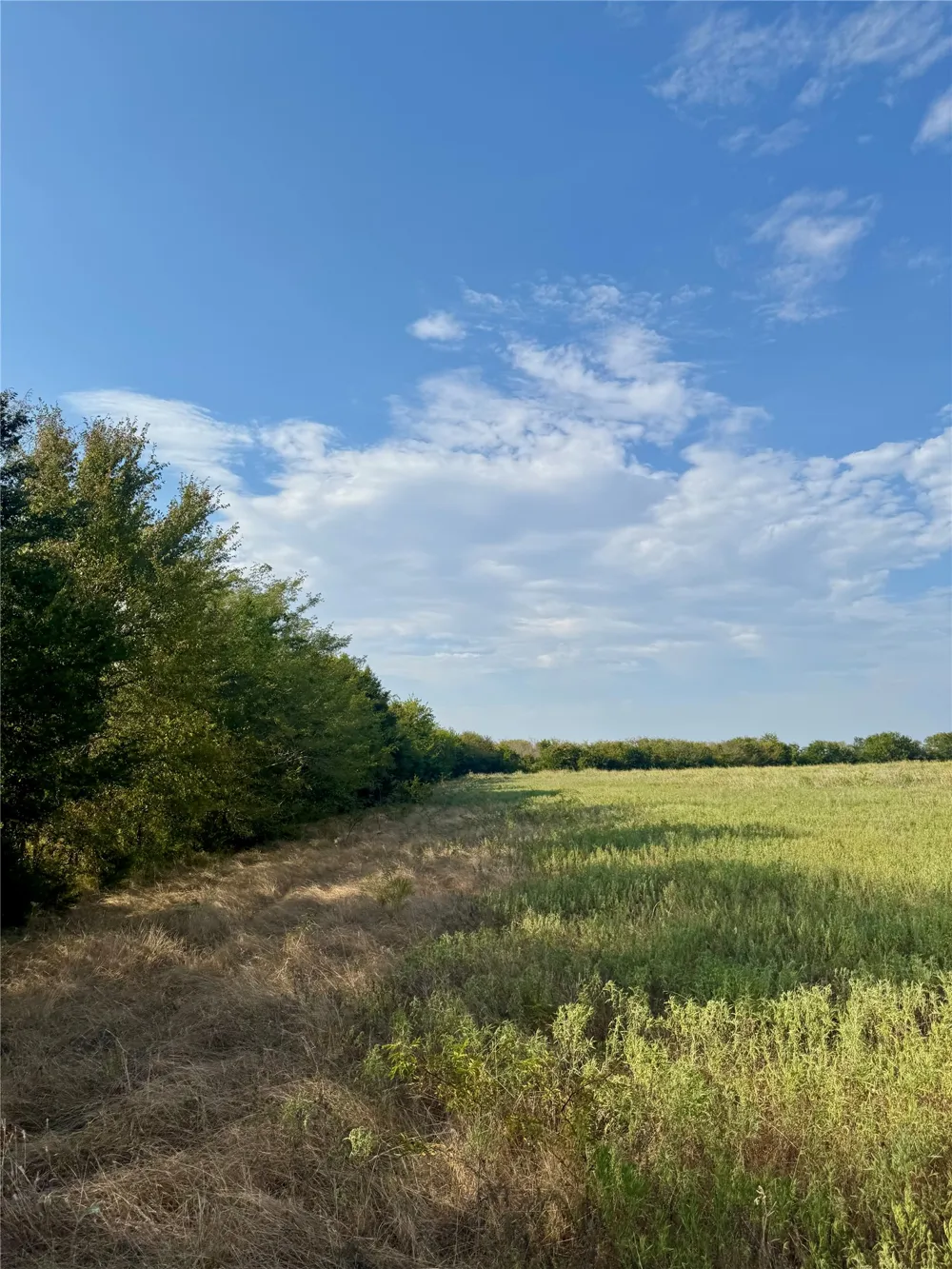 CR 2185 Klondike, TX 75448