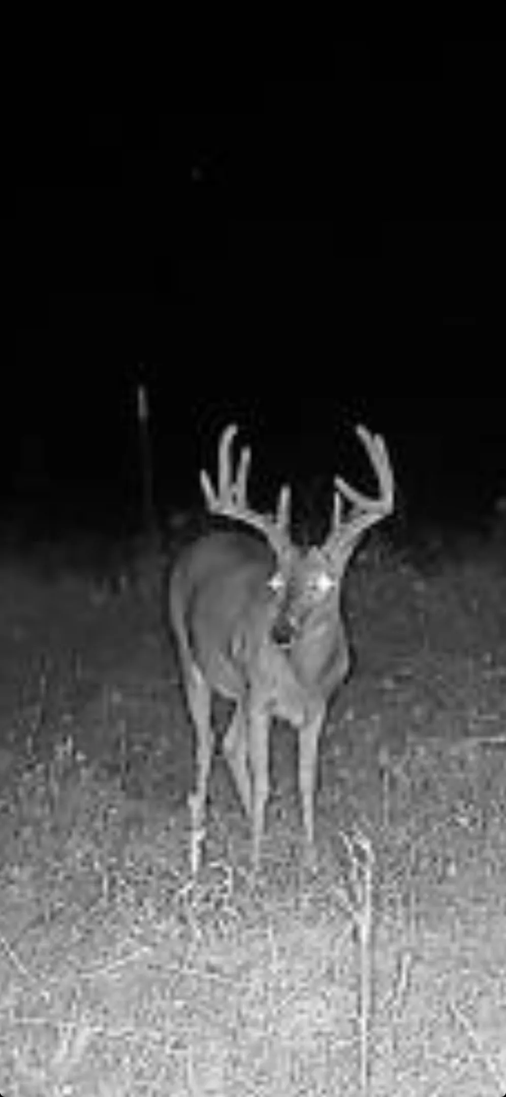 CR 2185 Klondike, TX 75448