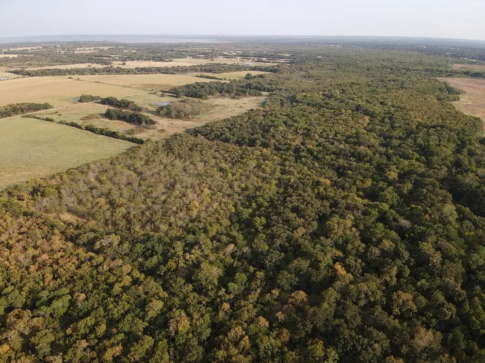 CR 2185 Klondike, TX 75448