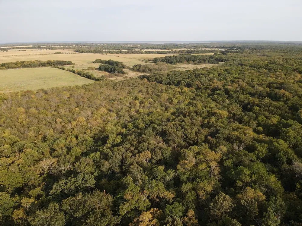 CR 2185 Klondike, TX 75448