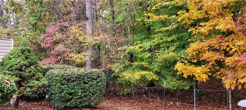 313 Quarterpath Lane Jamestown, NC 27282
