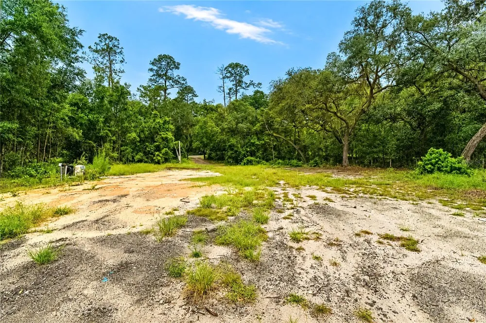 261 ASHLEY LAKE DRIVE Melrose, FL 32666