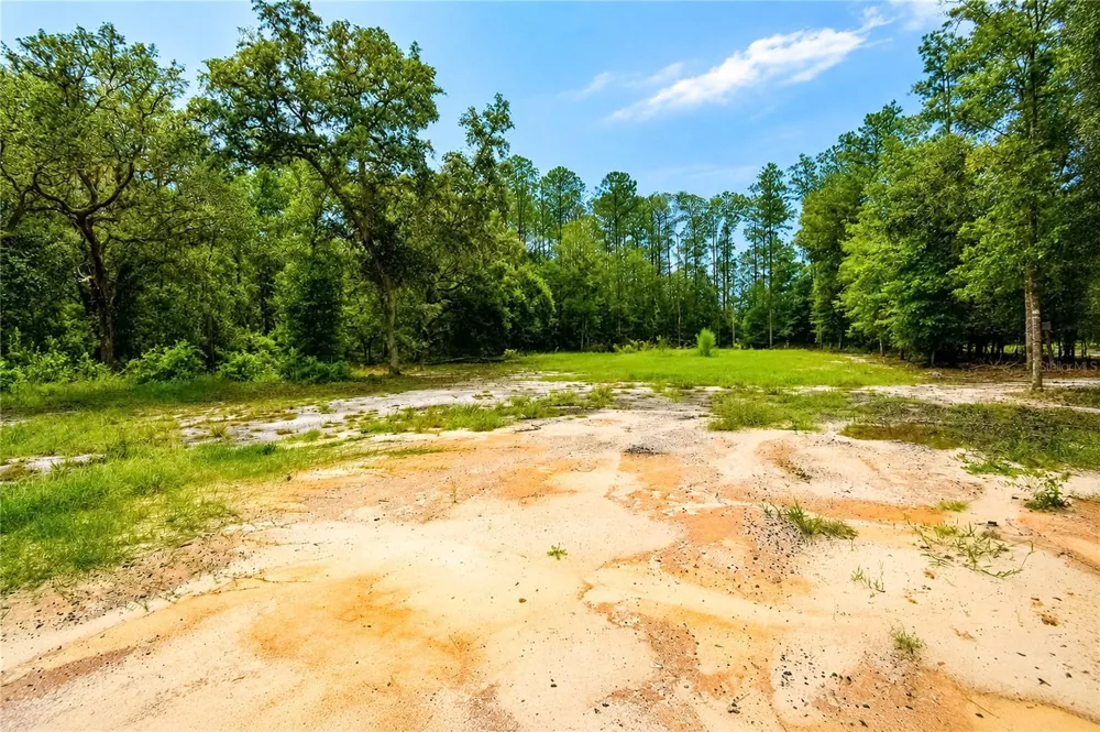 261 ASHLEY LAKE DRIVE Melrose, FL 32666