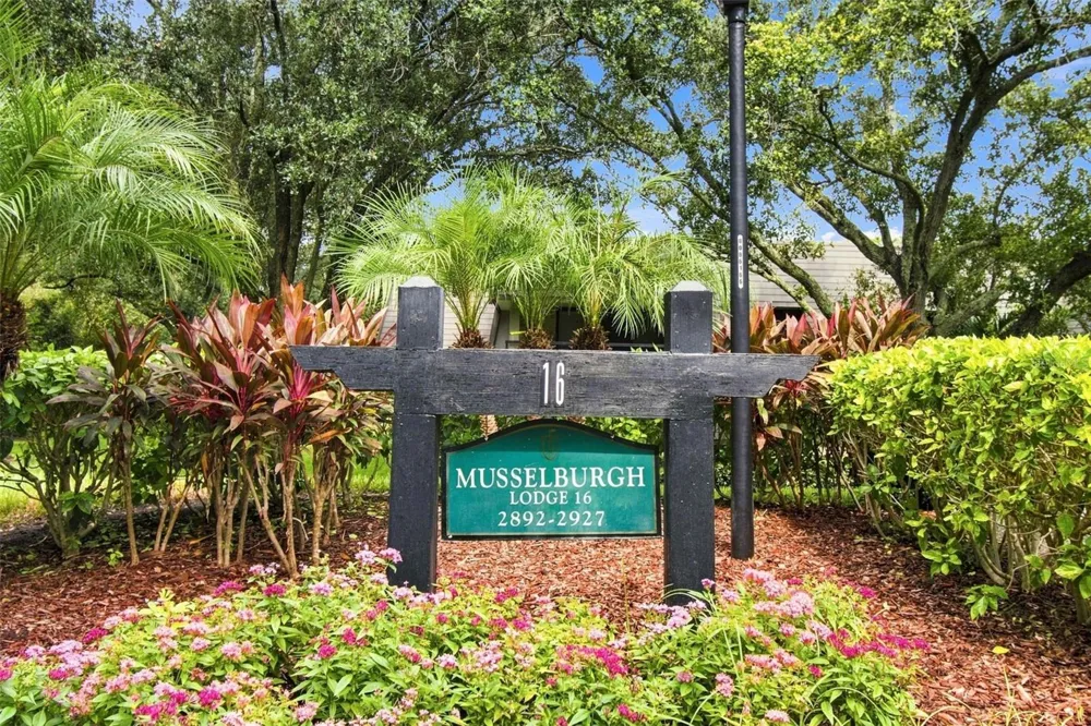 36750 US HIGHWAY 19 #16204 Palm Harbor, FL 34684