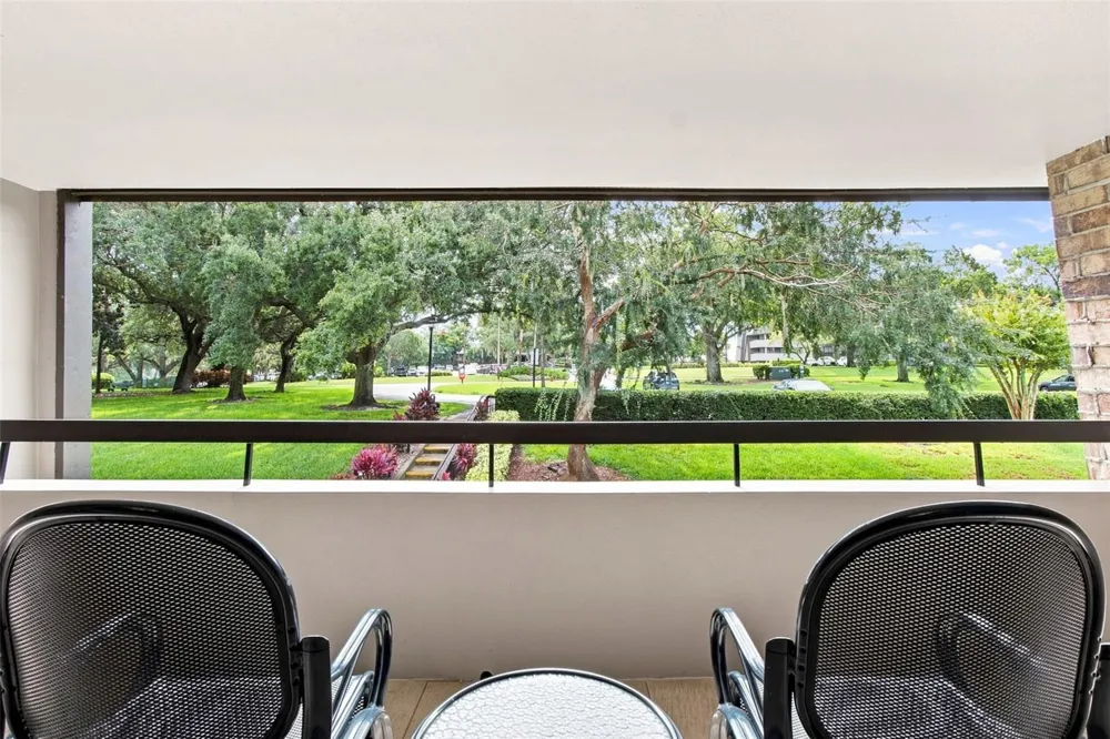 36750 US HIGHWAY 19 #16204 Palm Harbor, FL 34684