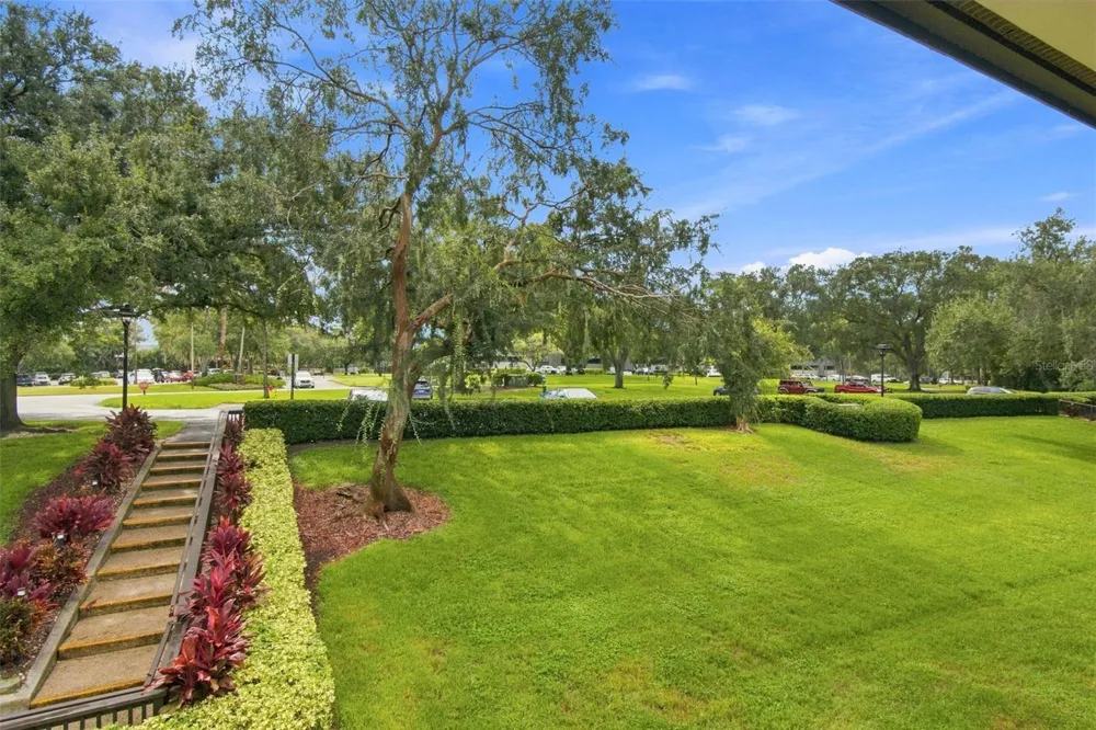 36750 US HIGHWAY 19 #16204 Palm Harbor, FL 34684
