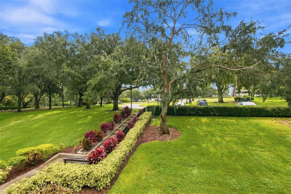 36750 US HIGHWAY 19 #16204 Palm Harbor, FL 34684