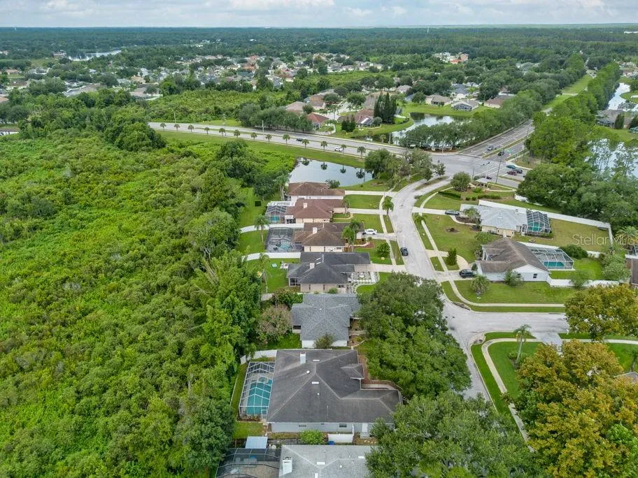 22832 CYPRESS TRAIL DRIVE Lutz, FL 33549