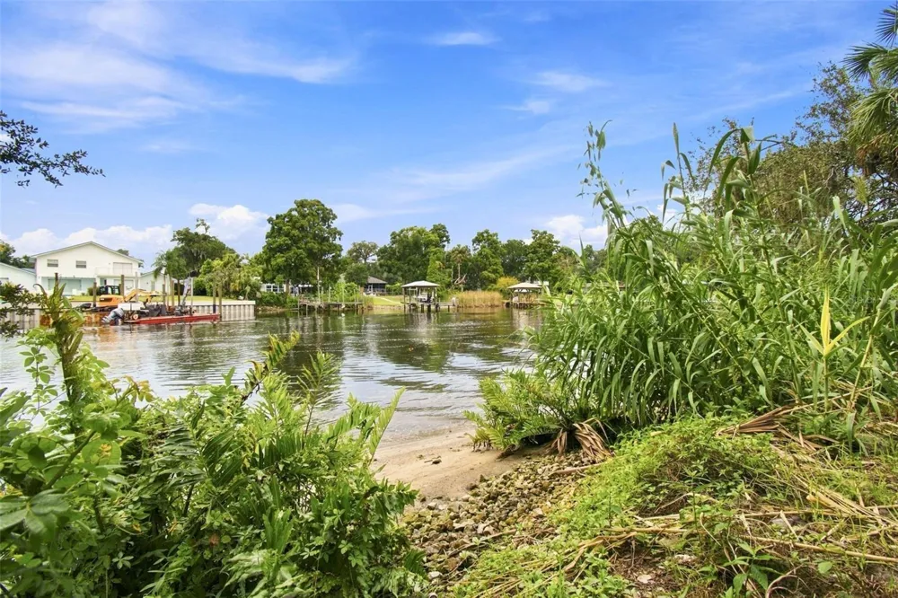 11301 SYLVAN GREEN LANE Riverview, FL 33569