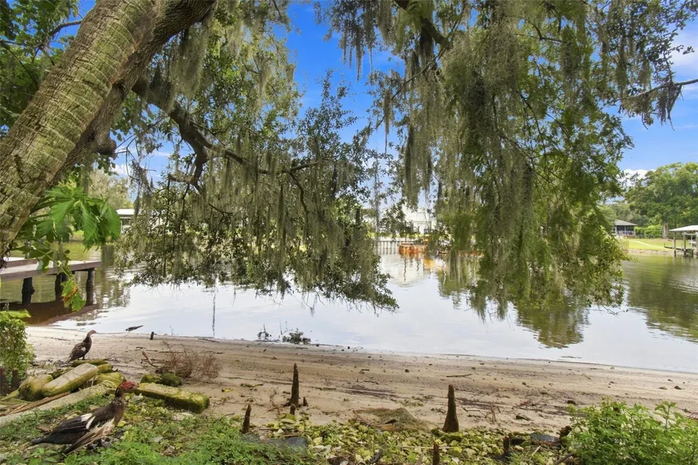11301 SYLVAN GREEN LANE Riverview, FL 33569