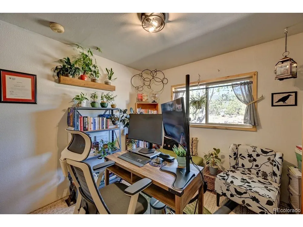 33733 County Road 373a Buena Vista, CO 81211