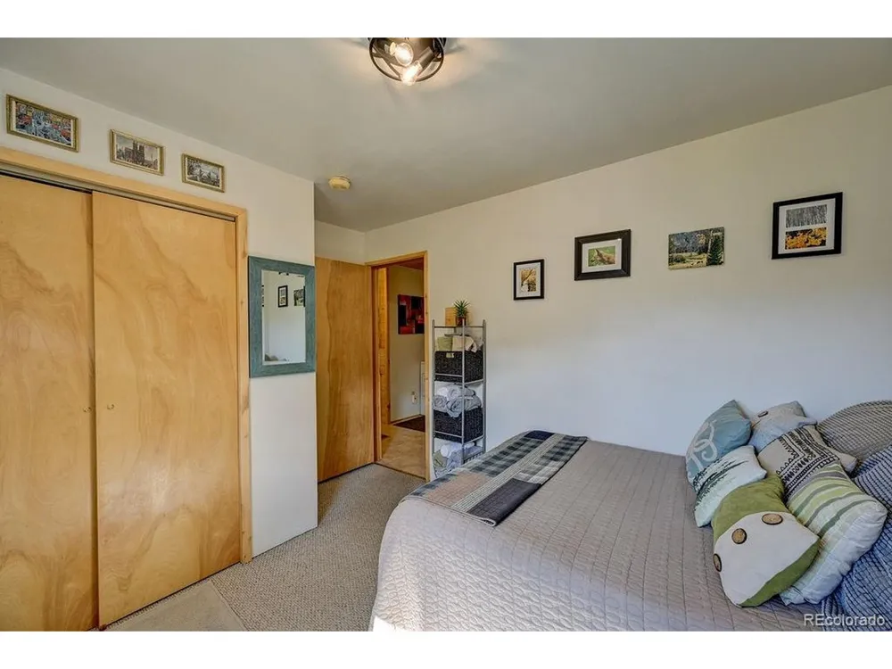 33733 County Road 373a Buena Vista, CO 81211