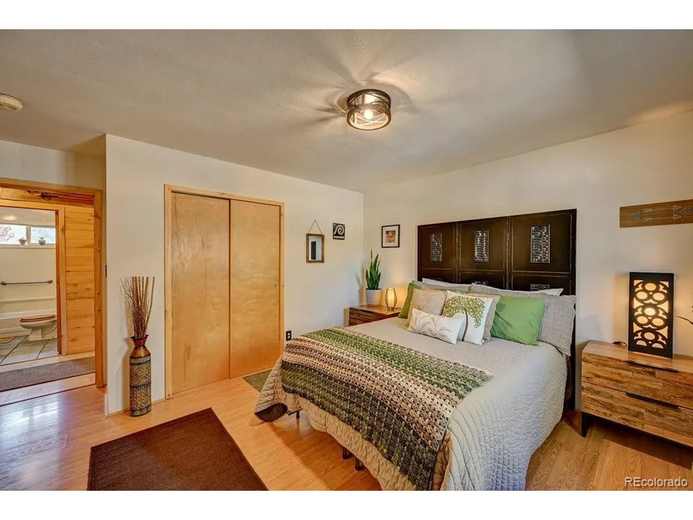 33733 County Road 373a Buena Vista, CO 81211