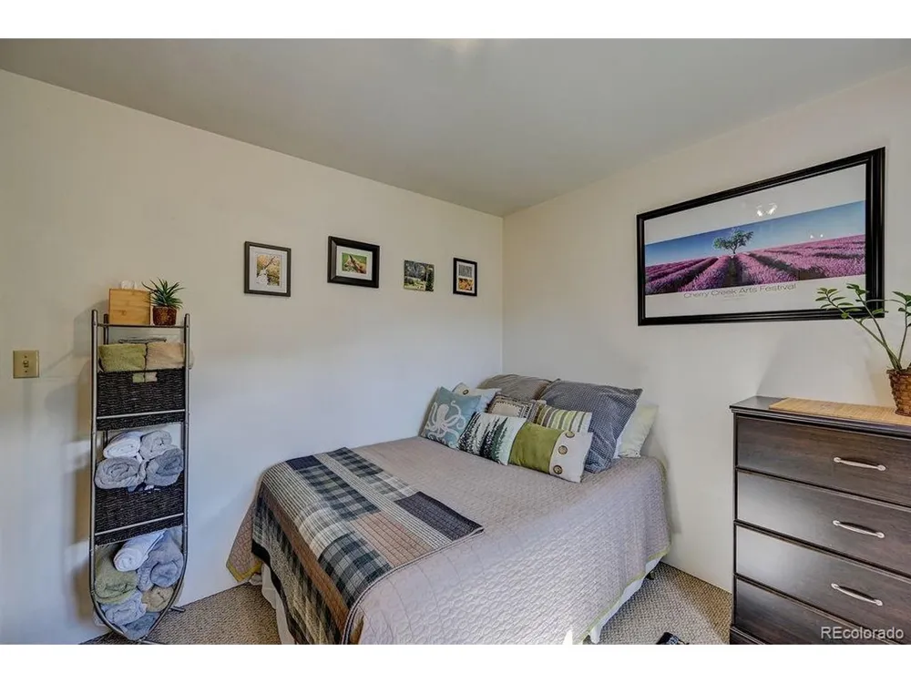 33733 County Road 373a Buena Vista, CO 81211
