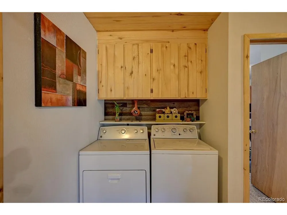 33733 County Road 373a Buena Vista, CO 81211