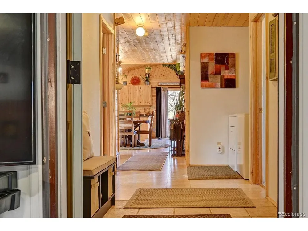 33733 County Road 373a Buena Vista, CO 81211