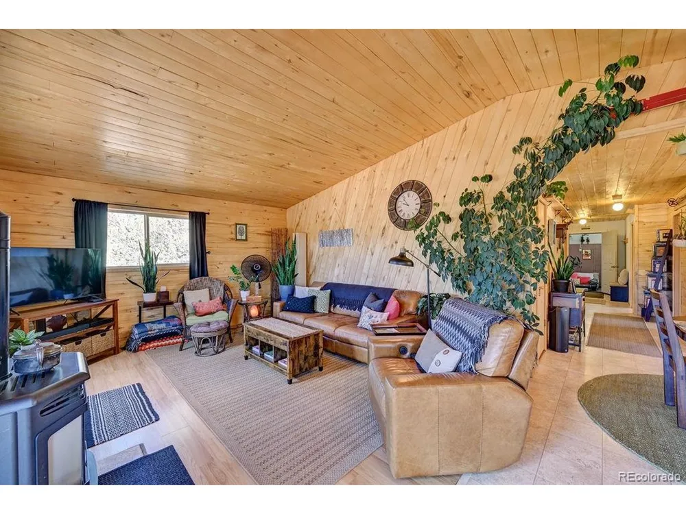 33733 County Road 373a Buena Vista, CO 81211