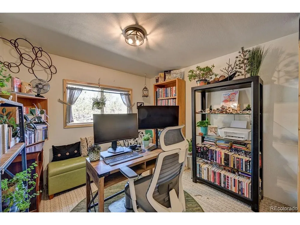 33733 County Road 373a Buena Vista, CO 81211