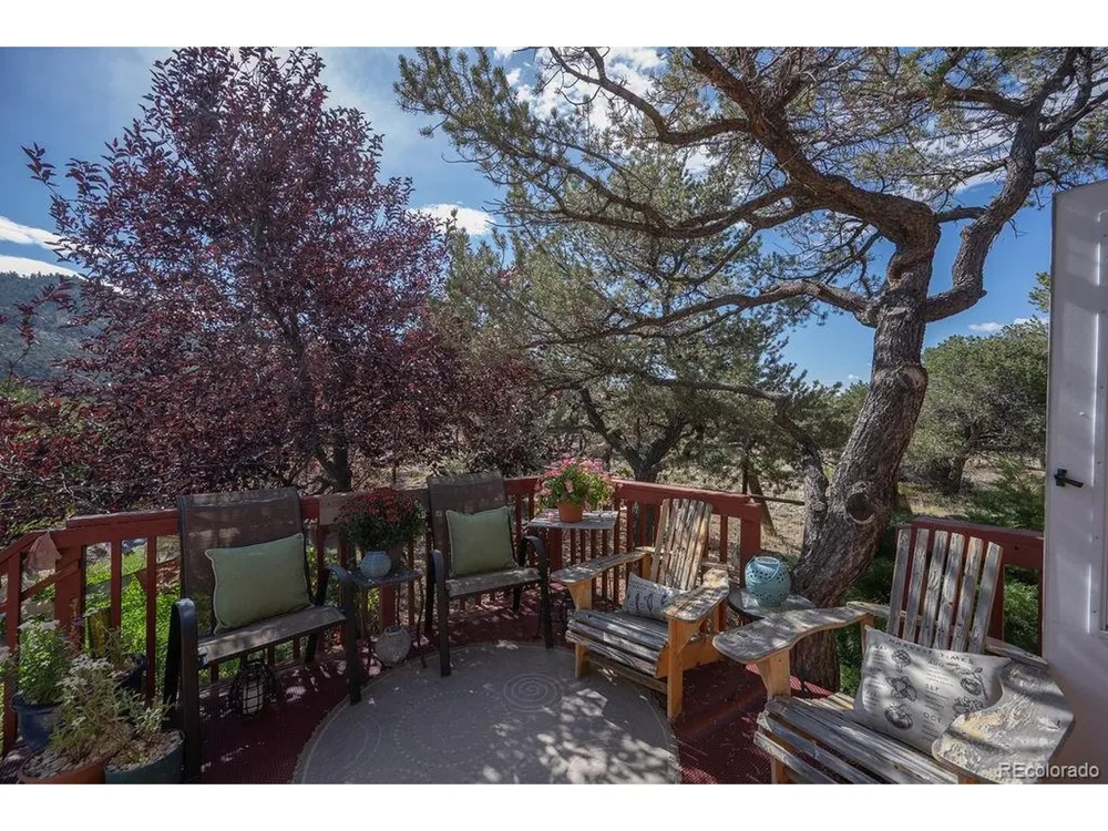 33733 County Road 373a Buena Vista, CO 81211