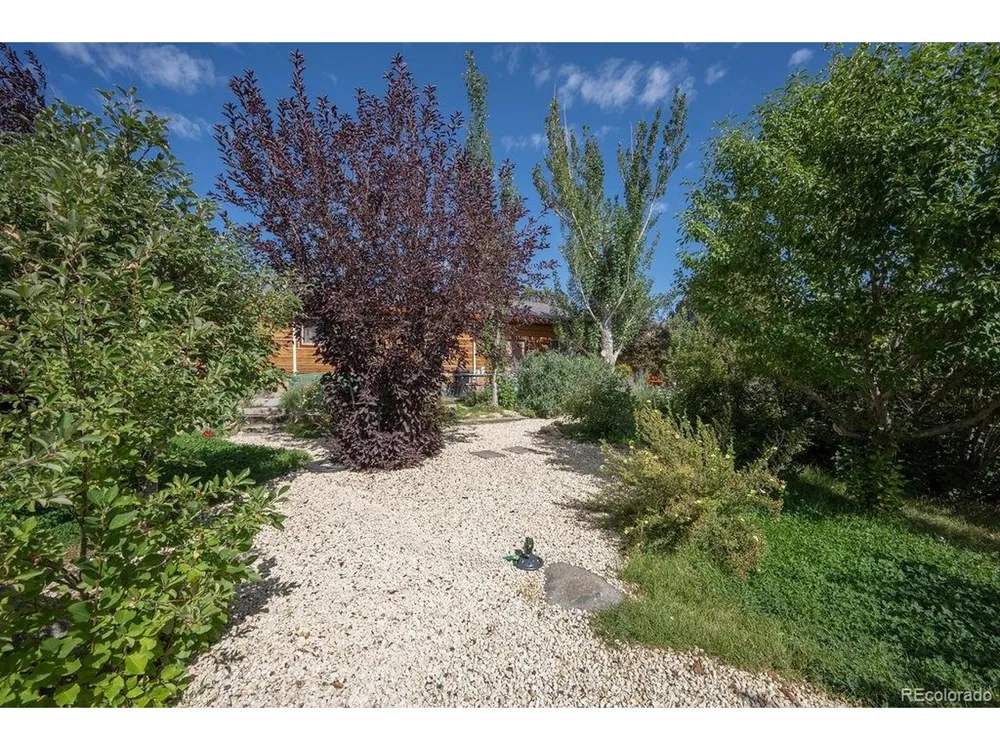 33733 County Road 373a Buena Vista, CO 81211