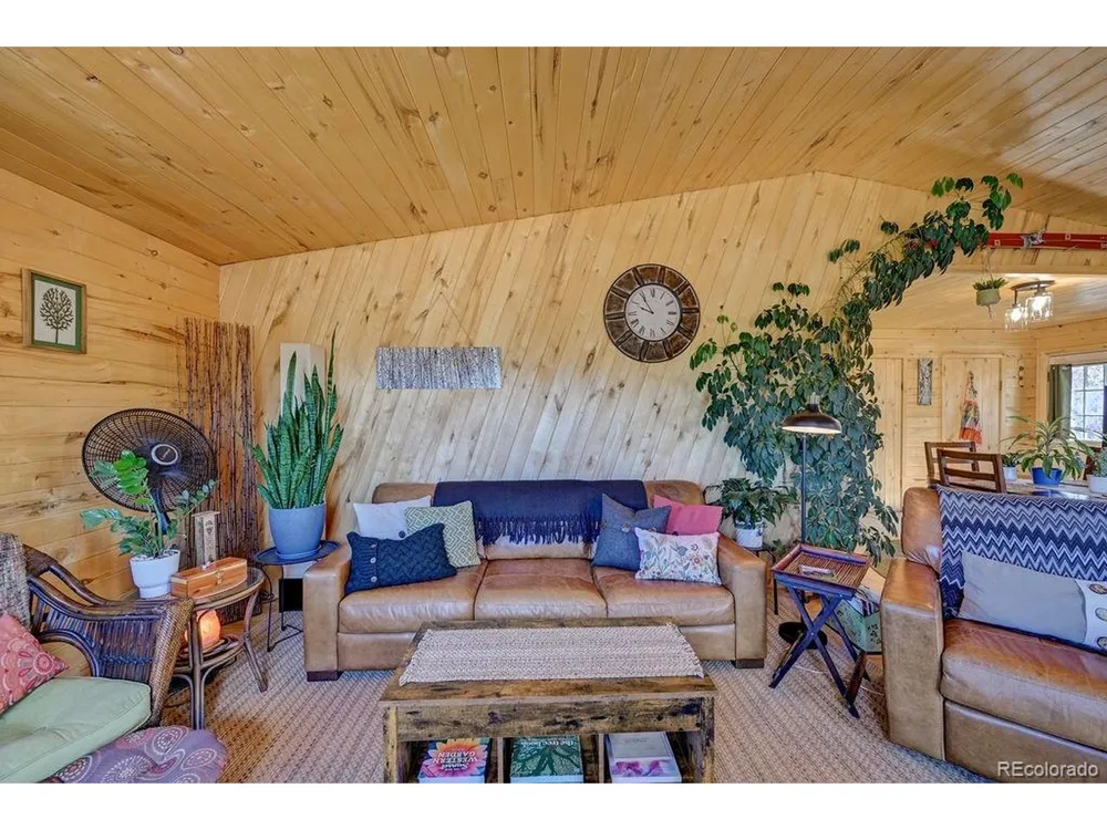 33733 County Road 373a Buena Vista, CO 81211