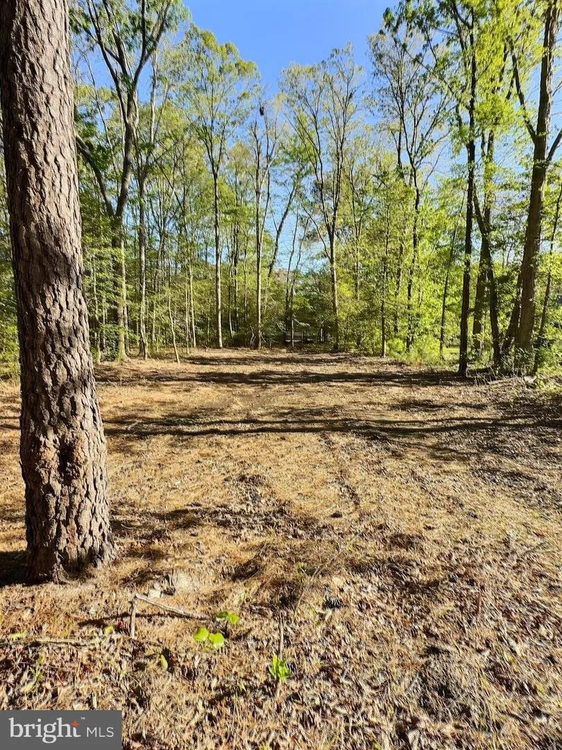 0 SHADY DELL PARK / BIRCH Ocean View, DE 19970