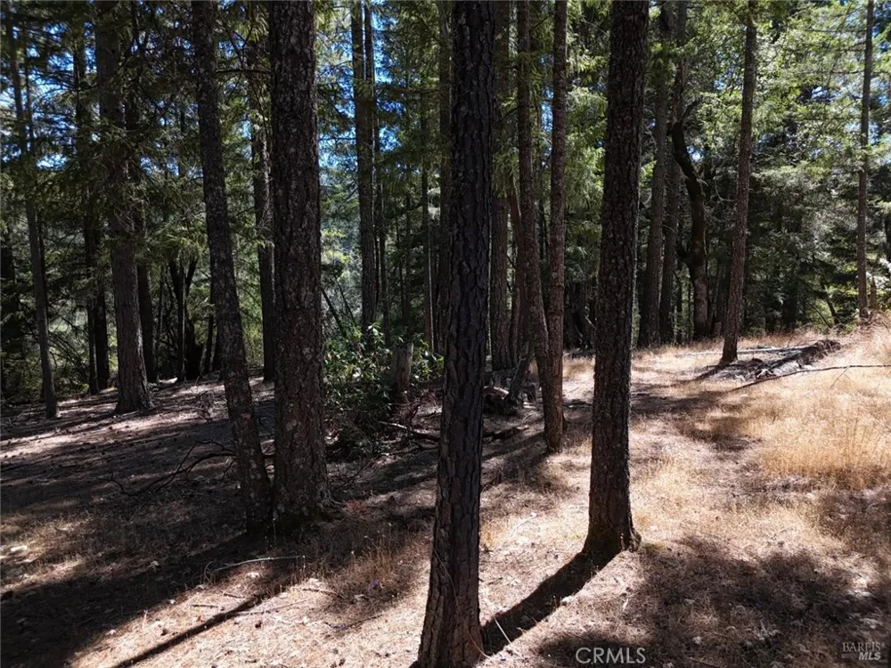 4501 Lakewood Drive Willits, CA 95490