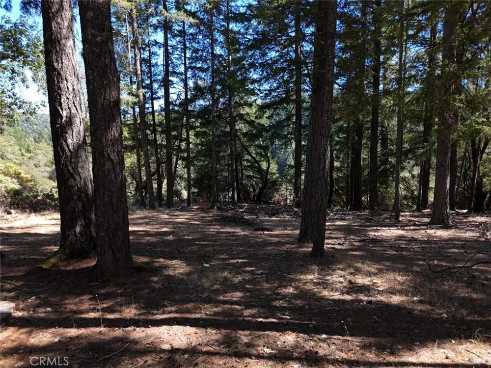 4501 Lakewood Drive Willits, CA 95490