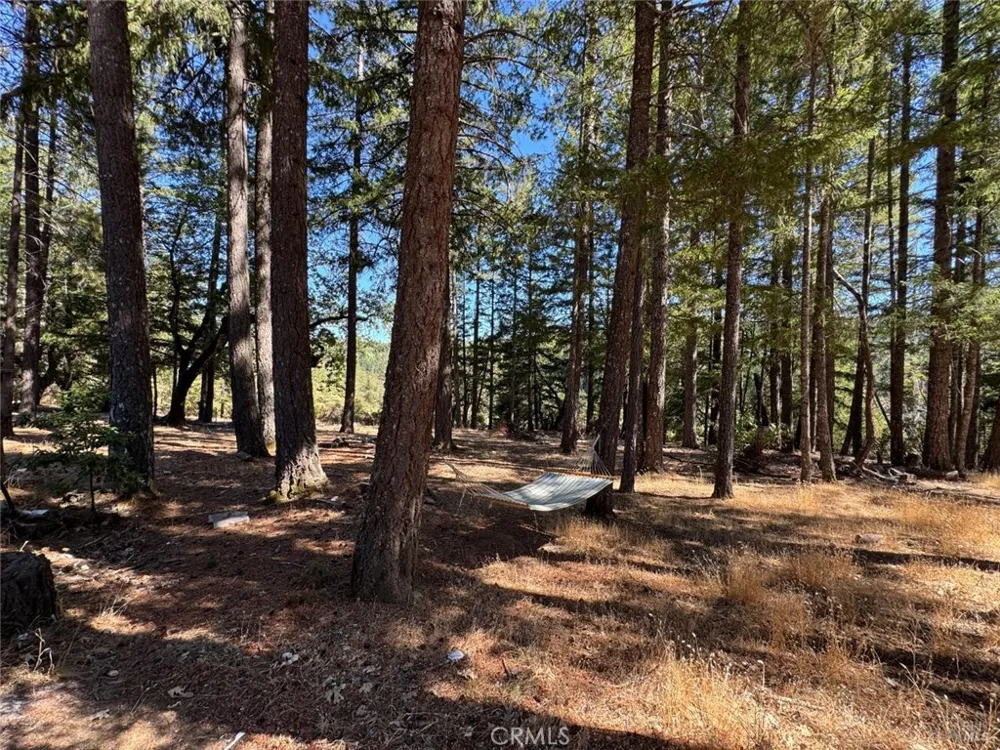 4501 Lakewood Drive Willits, CA 95490