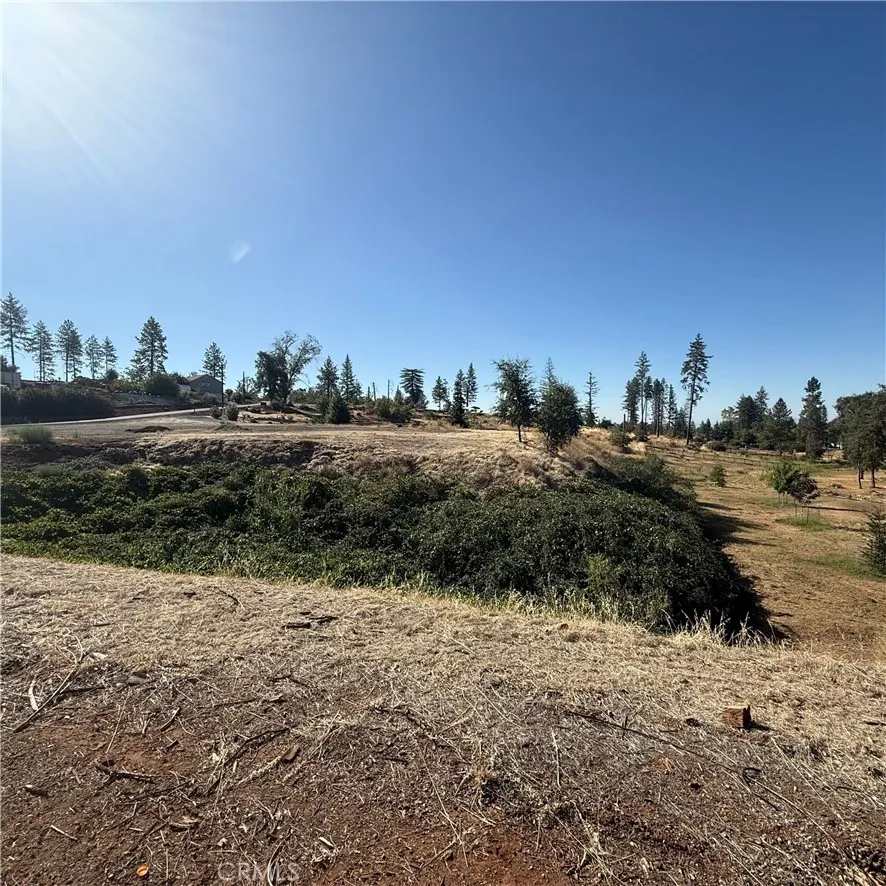 Pearson Paradise, CA 95969
