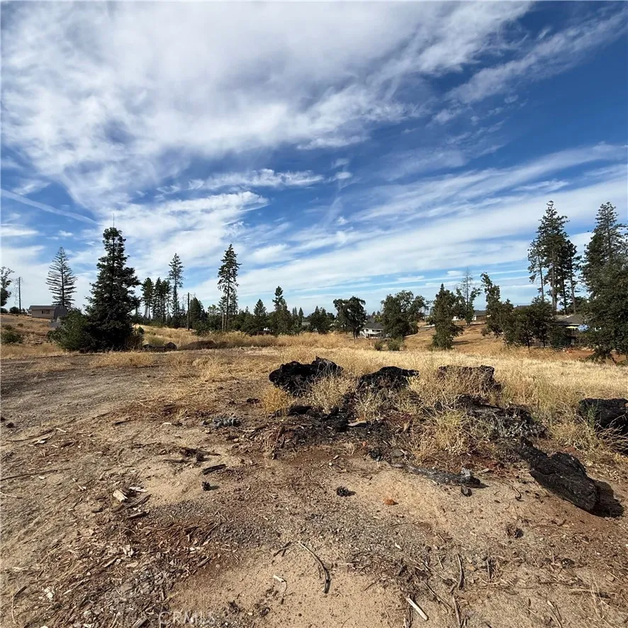 Pearson Paradise, CA 95969