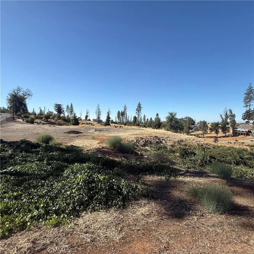 Pearson Paradise, CA 95969