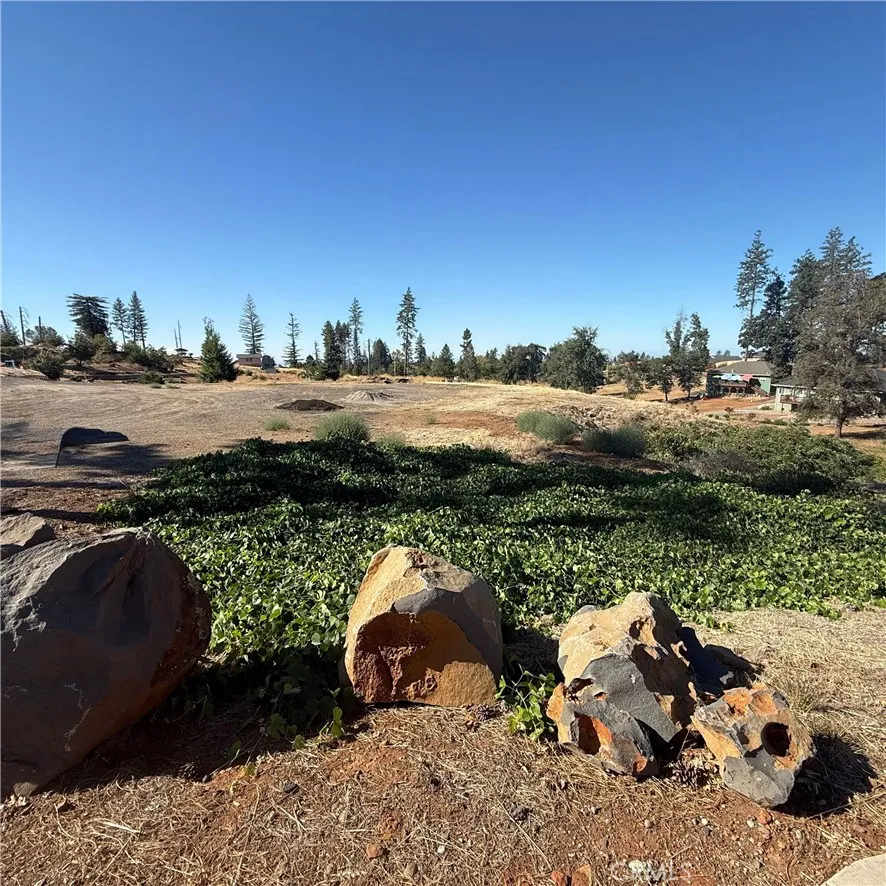 Pearson Paradise, CA 95969