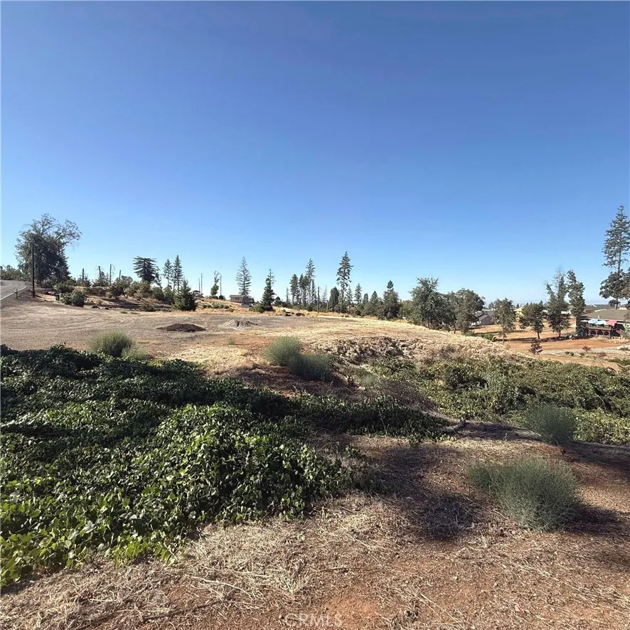 Pearson Paradise, CA 95969