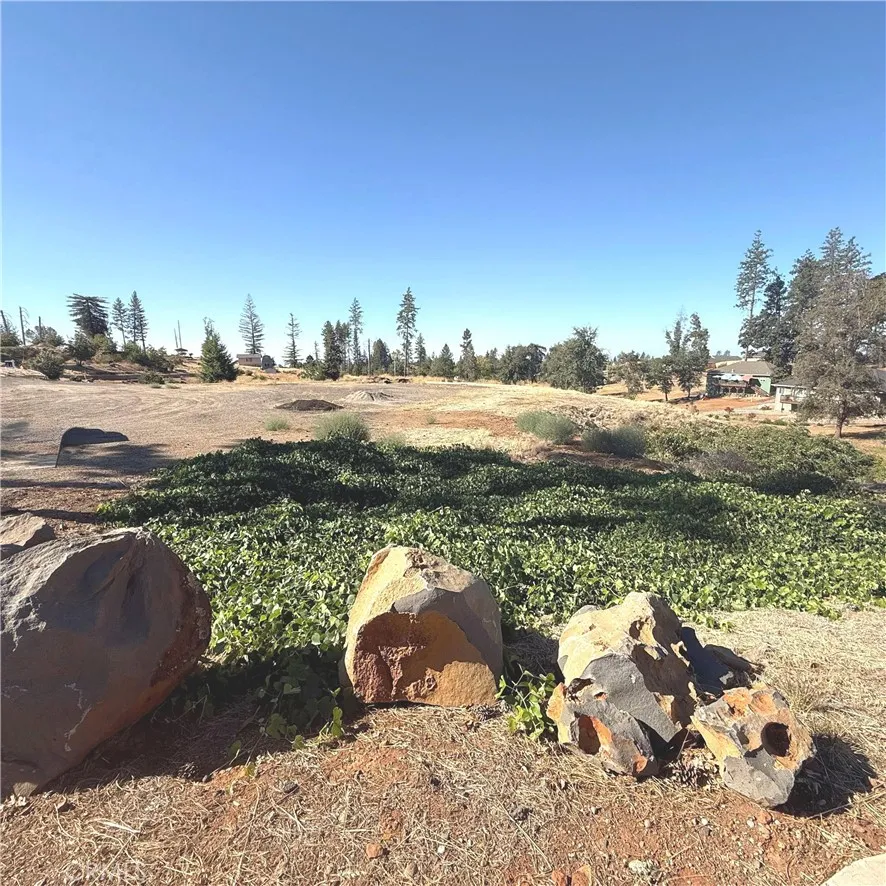 Pearson Paradise, CA 95969