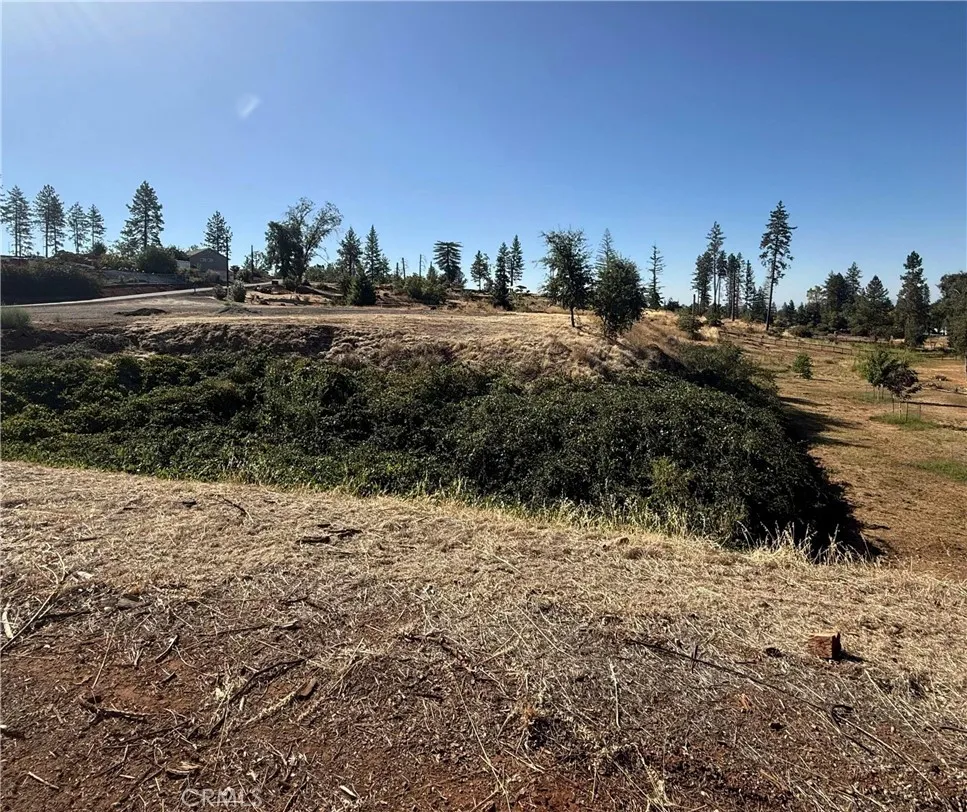 Pearson Paradise, CA 95969
