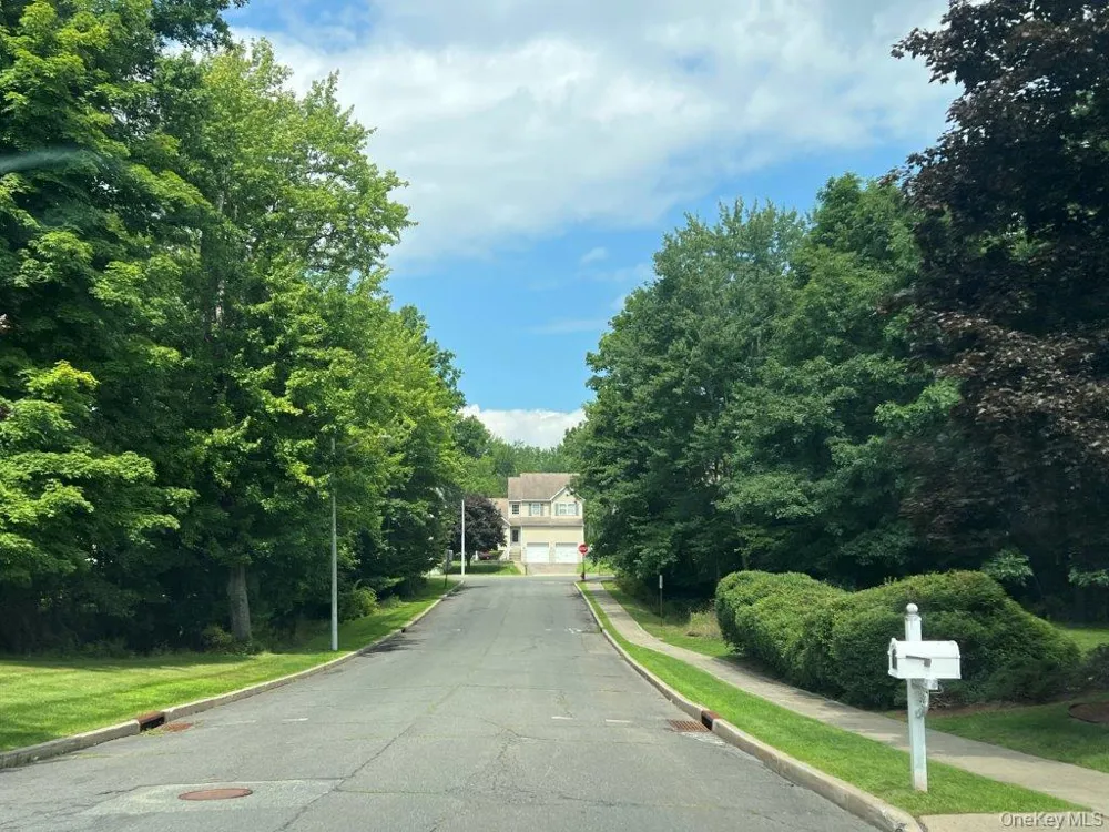 46 Alexander Drive Washingtonville, NY 10992