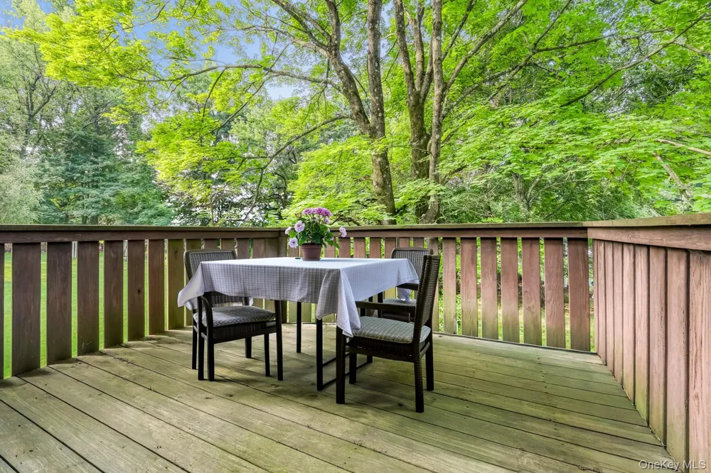 41 S Parker Drive Monsey, NY 10952