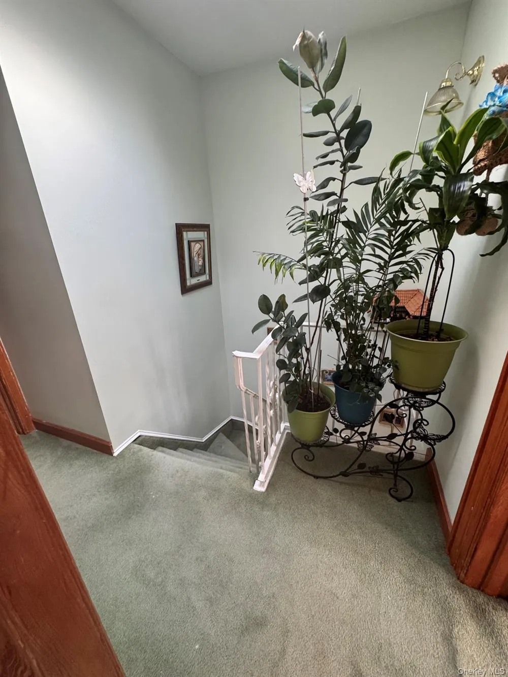 91-53 96th Street Woodhaven, NY 11421