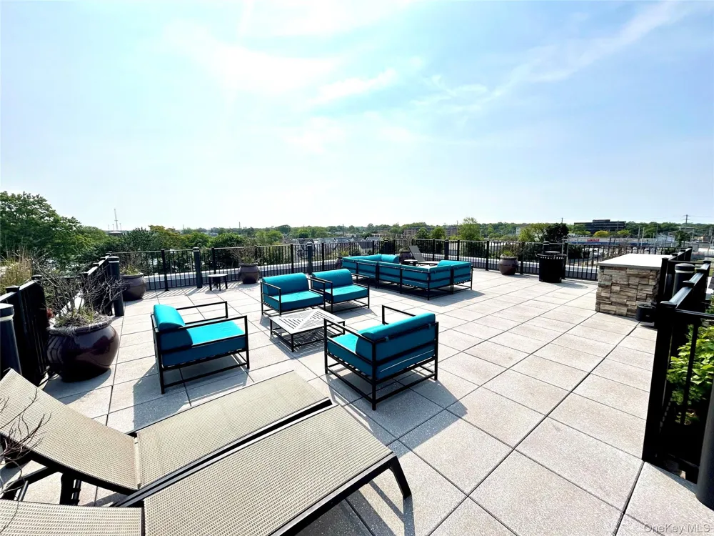 116 Searing Avenue #PHN401 Mineola, NY 11501