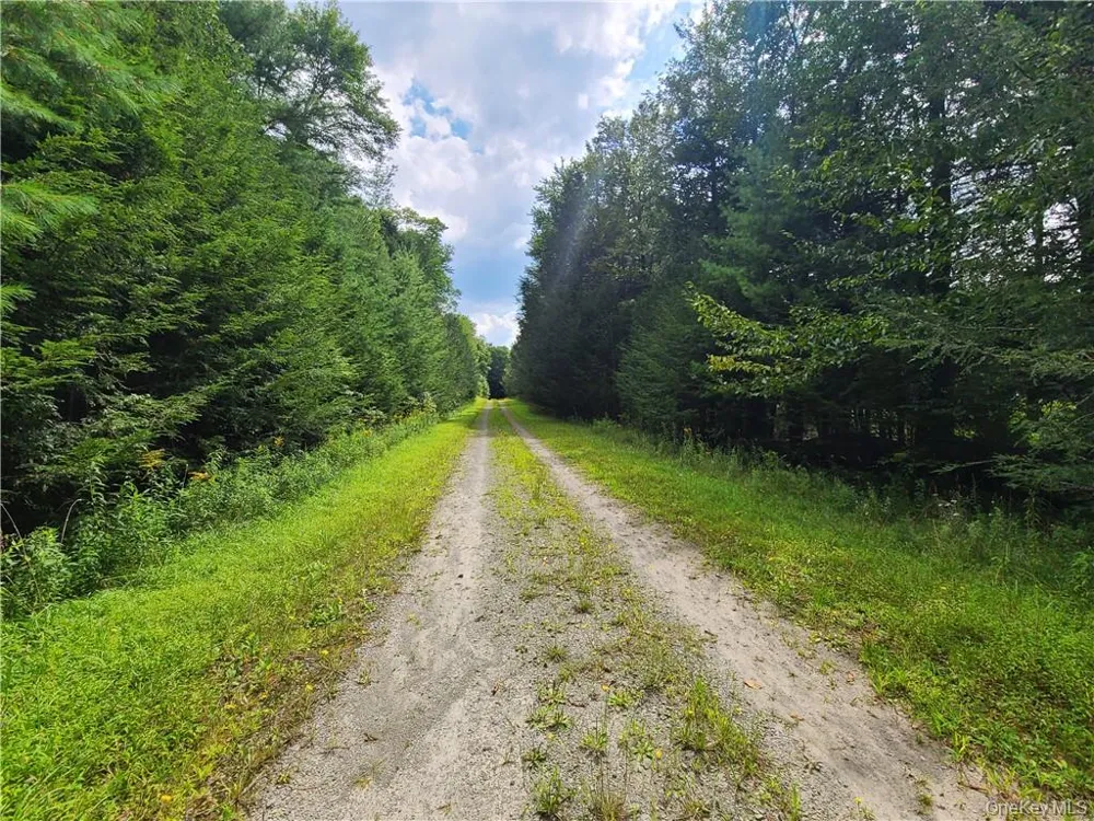 Lot 23 Deer Meadow Road Bethel, NY 12720